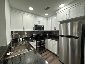 107 S Bradford Bch Ct in Tampa, FL - Building Photo - Building Photo