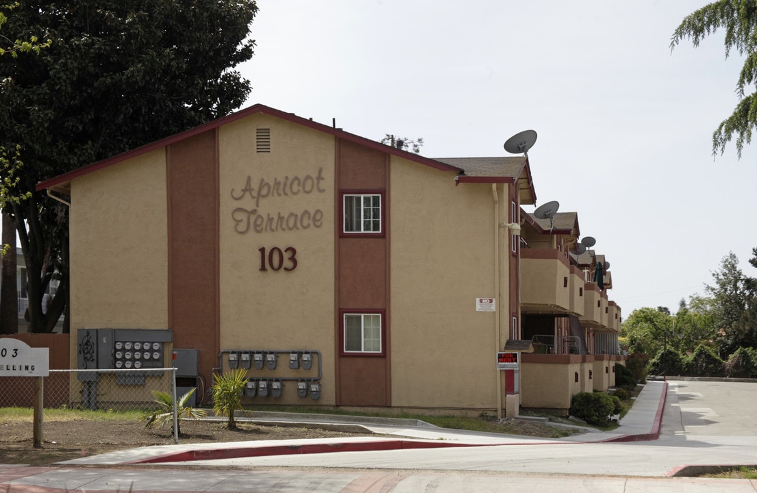 Apricot Terrace in San Lorenzo, CA - Foto de edificio