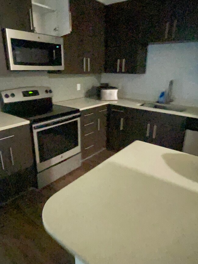 2541 Brown Noddy Ln, Unit 2