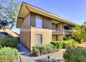 908 Lea Dr in San Rafael, CA - Building Photo