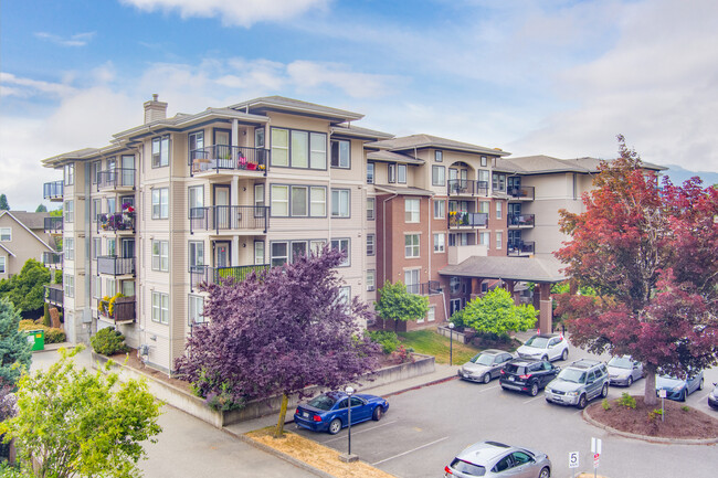 Broadway Maples in Chilliwack, BC - Building Photo - Building Photo