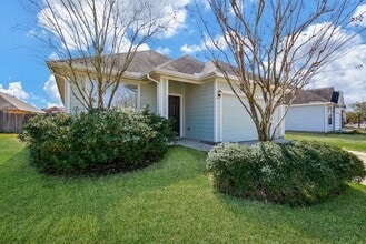 4310 S Vineyard Mdw Ln in Katy, TX - Foto de edificio - Building Photo