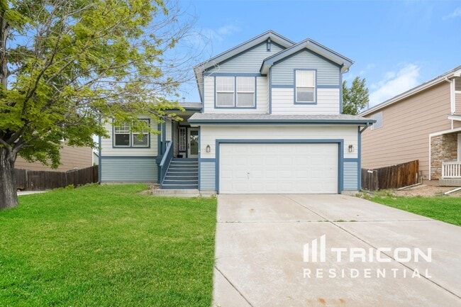 property at 427 Mt Lindsey St