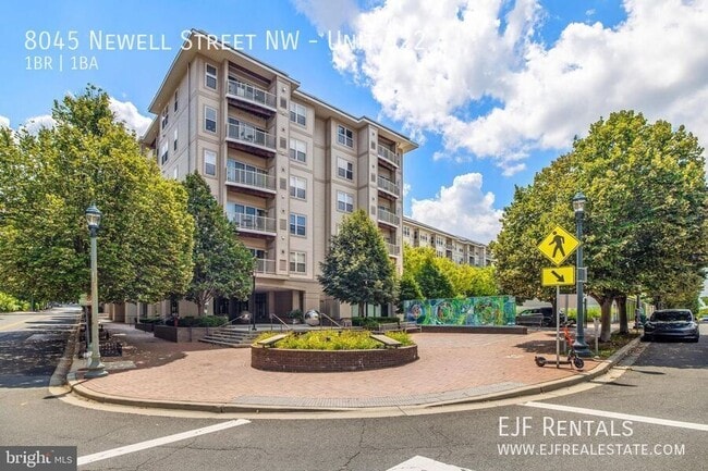 property at 8045 Newell St