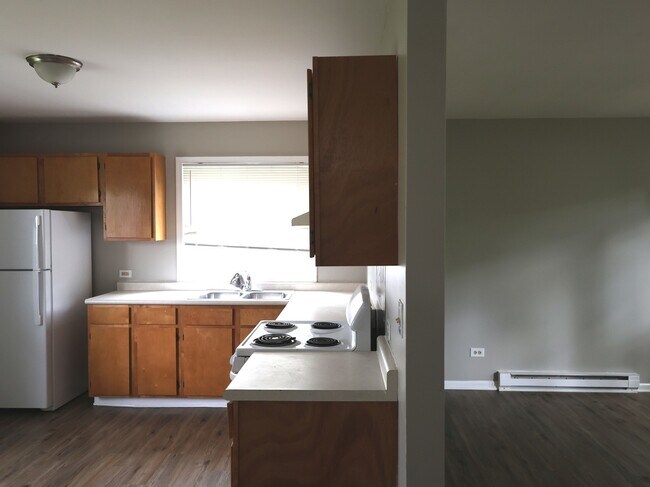 25274 W Lincoln Dr in Lake Villa, IL - Building Photo - Building Photo