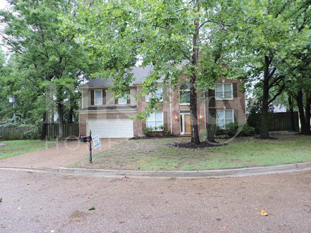 8554 Mill Farm Cove in Memphis, TN - Building Photo - Building Photo