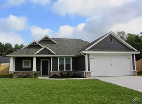 1737 Austin Dr in Tyler, TX - Building Photo