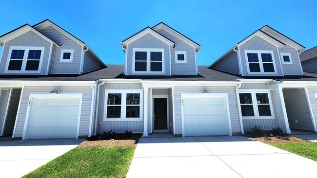 property at 205 Brackish Dr