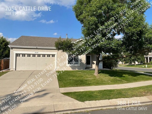 property at 7054 Cattle Dr
