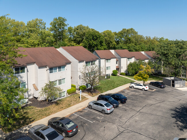 Pine Ridge in Cincinnati, OH - Foto de edificio - Building Photo