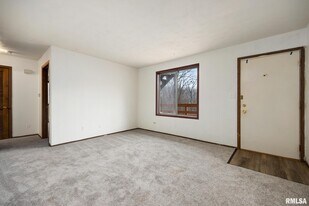 1300 W Jeth Ct in Peoria, IL - Building Photo
