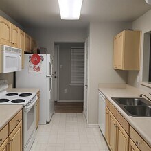132 Dolly St in San Marcos, TX - Building Photo - Building Photo