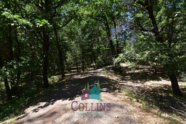 12999 Capitol Dr in Grass Valley, CA - Building Photo - Building Photo