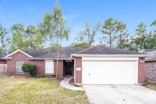 23115 Sandpiper Trail in Spring, TX - Building Photo