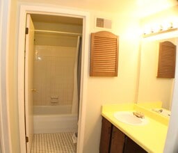 910 Chestnut Hill Dr, Unit H in Auburn Hills, MI - Building Photo - Building Photo