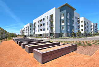 Charlotte Park Apartments in San Jose, CA - Foto de edificio - Building Photo