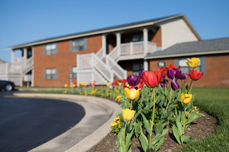 Wesley South at East Carolina in Greenville, NC - Building Photo - Building Photo