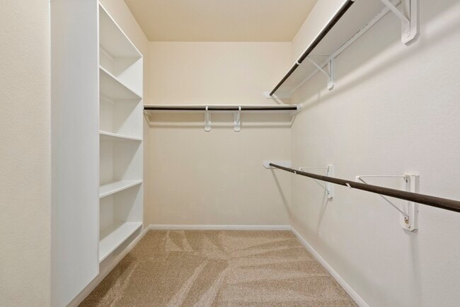 property at 3310 Retama Falls Ln