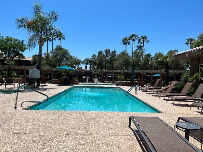 7009 E Acoma Dr in Scottsdale, AZ - Building Photo - Building Photo