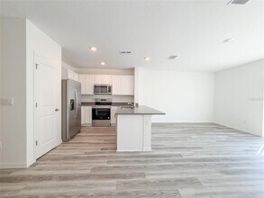 31276 Paper Birch St in Wesley Chapel, FL - Building Photo - Building Photo