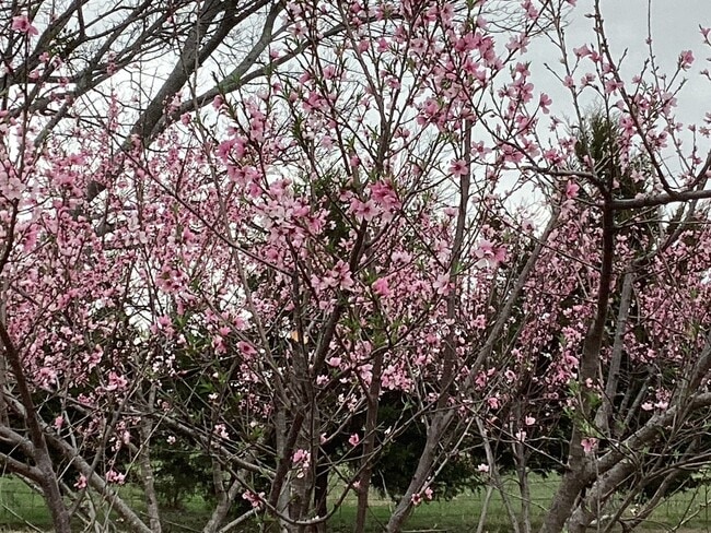 property at 739 Proctor Ln