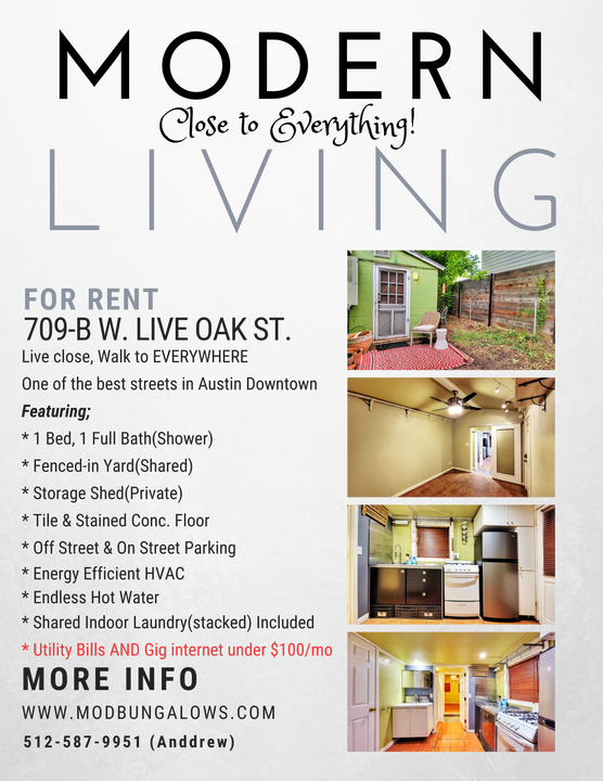 709 W Live Oak St in Austin, TX - Building Photo