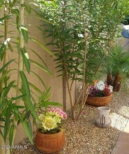 3332 N Sunaire in Mesa, AZ - Building Photo - Building Photo