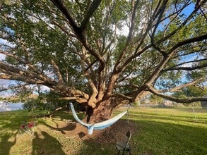 950 Hedgewood Ct in Winter Park, FL - Building Photo - Building Photo