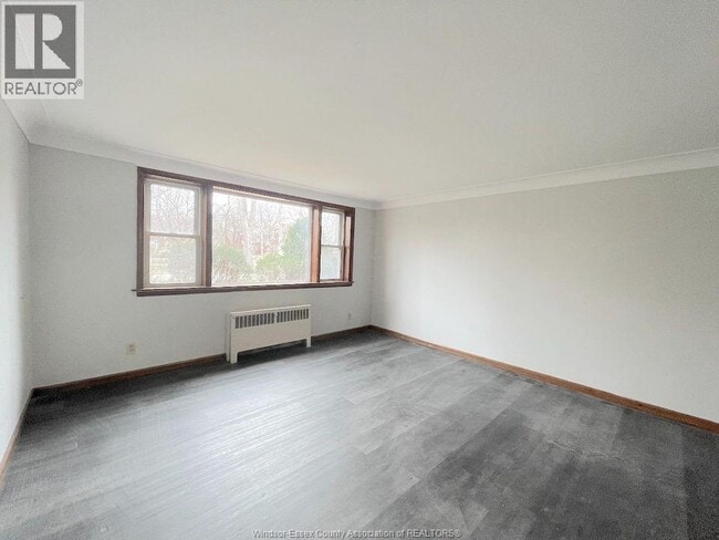 335 Detroit St in Windsor, ON - Foto de edificio - Building Photo