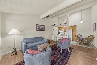 101 Racquet Dr in Ruidoso, NM - Building Photo - Building Photo