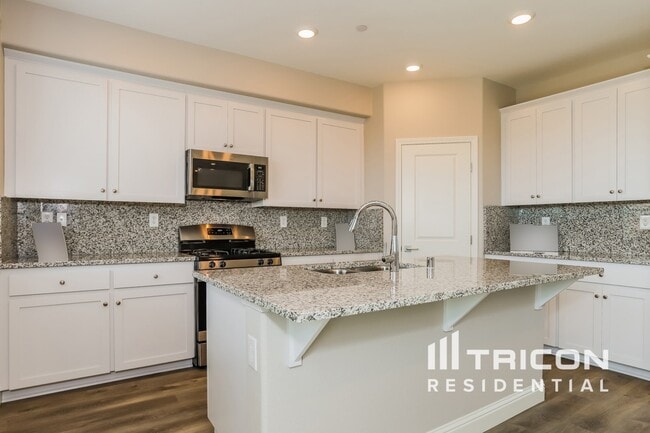 2538 Gold Brk St in Lincoln, CA - Building Photo - Building Photo
