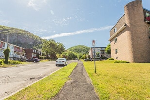 305 Pineault Rue in Mont-St-Hilaire, QC - Building Photo