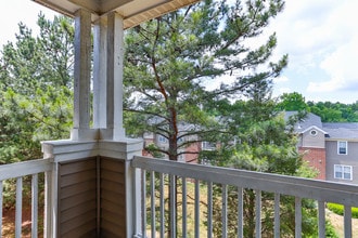 Palmetto Place in Fort Mill, SC - Building Photo - Building Photo