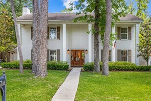 27122 E Lana Ln in Conroe, TX - Building Photo