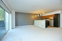 Compass Apartments photo'