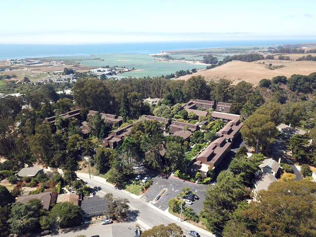 The Hilltop in Santa Cruz, CA - Building Photo - Building Photo