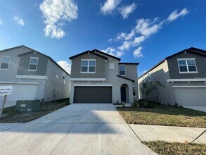 31398 Barrel Wave Way in Wesley Chapel, FL - Building Photo - Building Photo