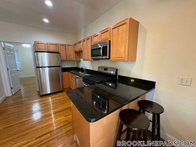 172 Fuller St in Brookline, MA - Foto de edificio - Building Photo