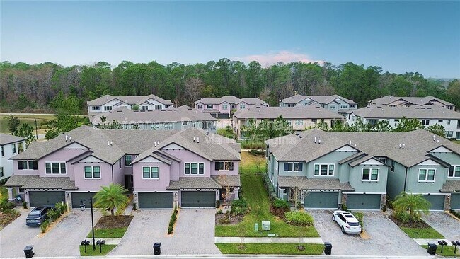 4547 Ancona Way in Wesley Chapel, FL - Building Photo - Building Photo