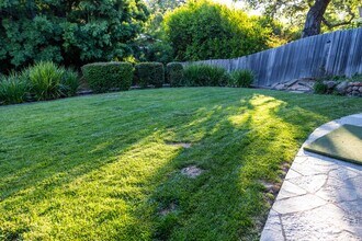 118 Cornelia Ave in Mill Valley, CA - Building Photo - Building Photo