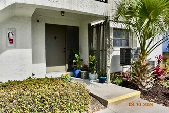 15 Cartagena Ct in St. Augustine, FL - Building Photo - Building Photo