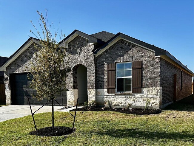 1319 Mystic Island Way in Iowa Colony, TX - Building Photo - Building Photo
