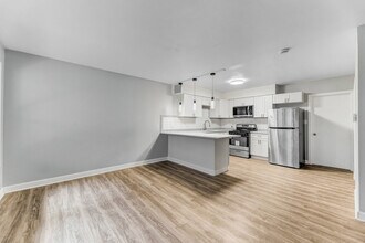 405 S Maple Ave in Oak Park, IL - Building Photo - Building Photo