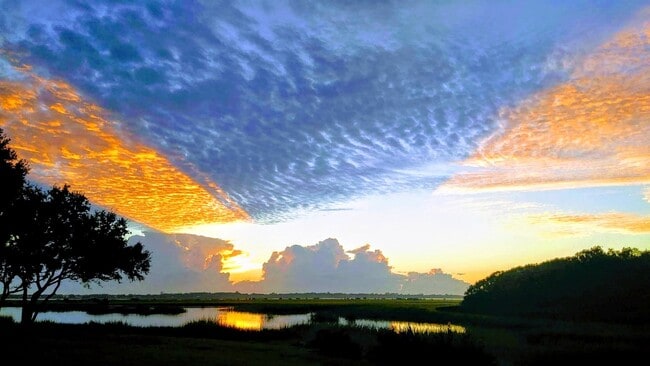 property at 31 Aledo Ct