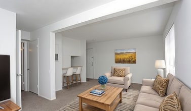 Andover Park Apartments in Greenville, SC - Building Photo - Building Photo