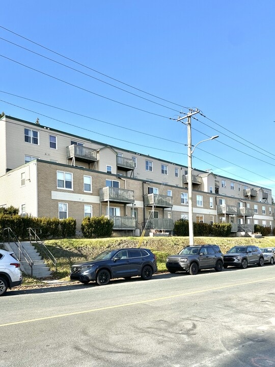 91 Larkhall St in St John's, NL - Building Photo