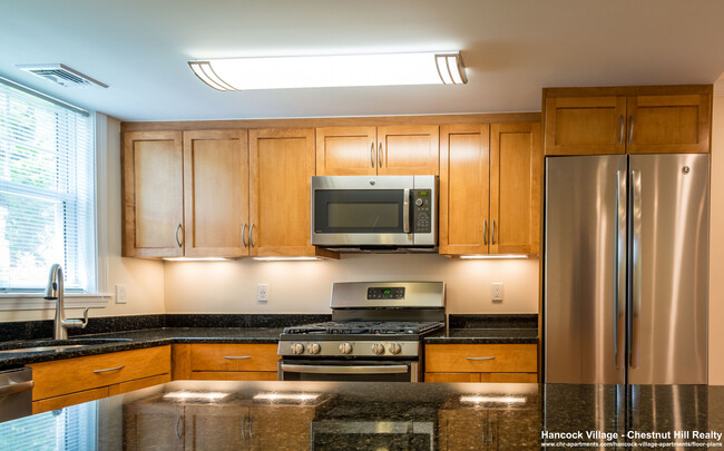 517 Vfw Pky, Unit 1 in Chestnut Hill, MA - Foto de edificio - Building Photo
