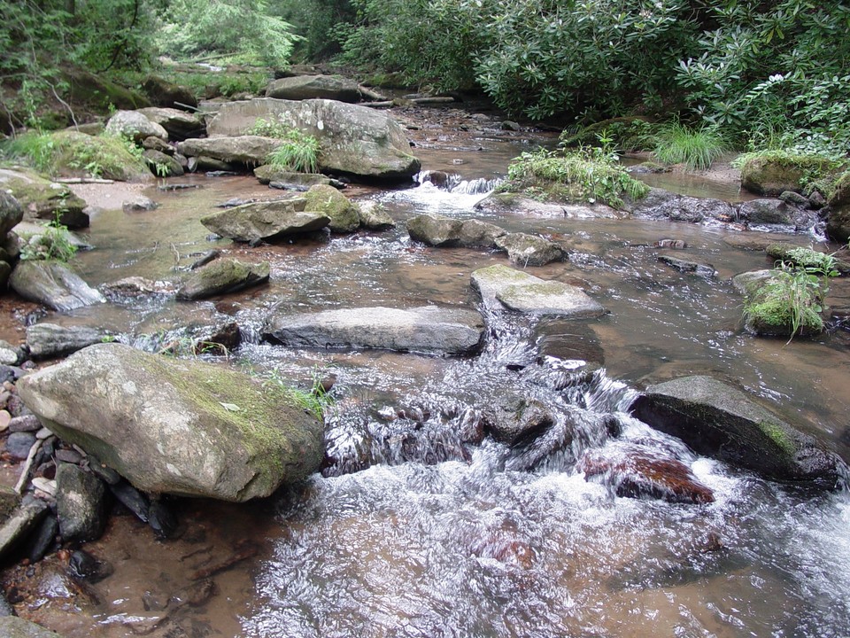 Fall Creek Cabins in Purlear, NC - Building Photo