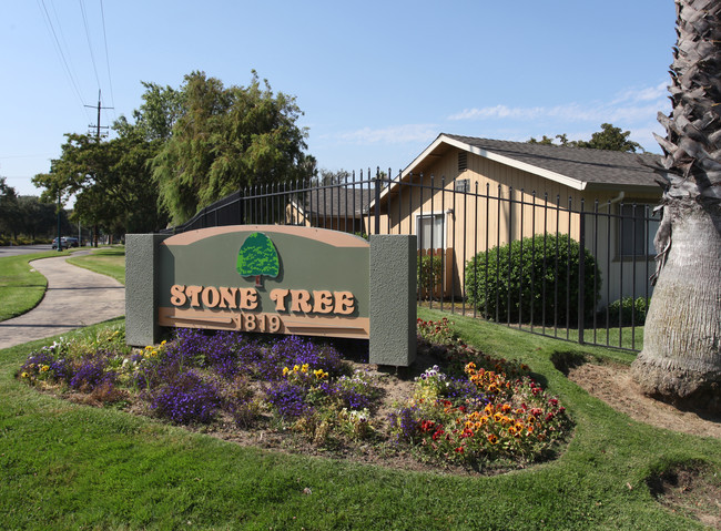 Stonetree Townhomes Apartments in Lodi, CA - Building Photo - Building Photo