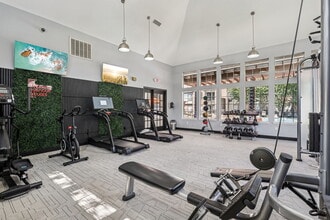 Villages of Briar Forest in Houston, TX - Building Photo - Building Photo